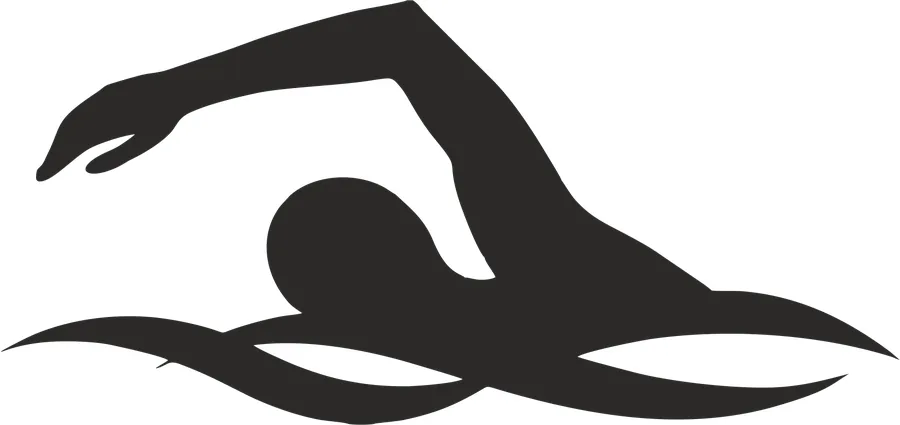 Silueta - Plavec - 1 – zápich na tortu